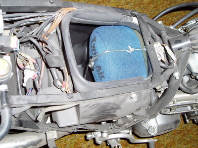 Baghira Air Filter.JPG