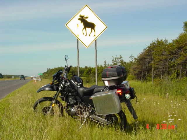 moosesign2.jpg